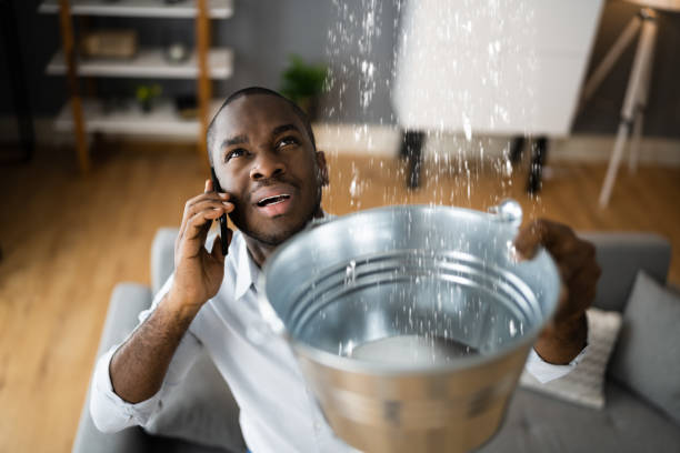 Best Emergency water extraction  in Redwood Falls, MN