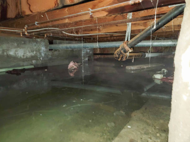 Best 24/7 water damage repair  in Redwood Falls, MN