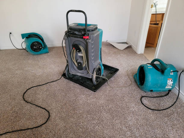 Reliable Redwood Falls, MN Water damage restoration Solutions