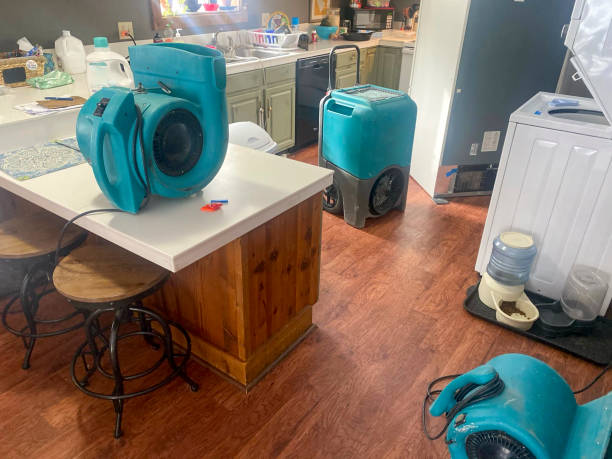Water damage restoration insurance claims in Redwood Falls, MN
