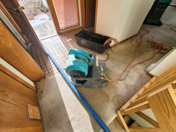 Best Water damage restoration near me  in Redwood Falls, MN