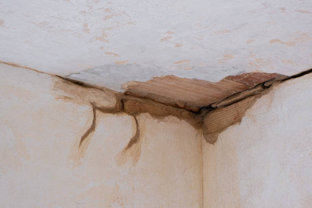 Best Flooded house restoration  in Redwood Falls, MN