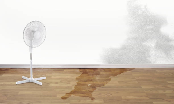 Best Water damage restoration specialists  in Redwood Falls, MN