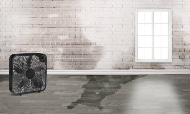 Reliable Redwood Falls, MN Water damage restoration Solutions