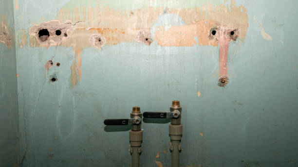 Best Water damage restoration near me  in Redwood Falls, MN