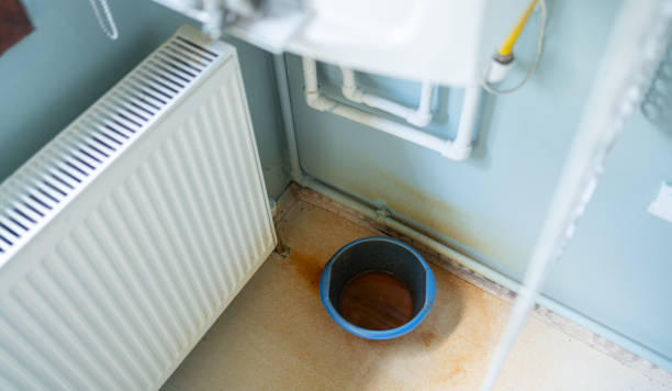 Best Water damage contractors near me  in Redwood Falls, MN