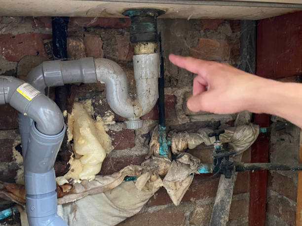 Best 24-hour water damage restoration  in Redwood Falls, MN