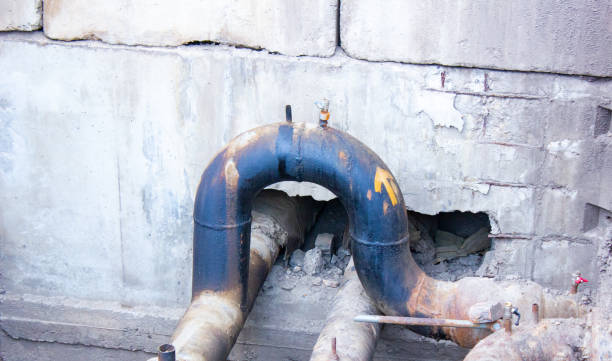 Best Flood restoration services  in Redwood Falls, MN