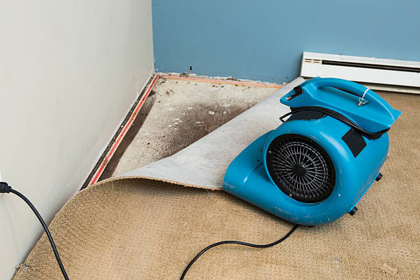  Redwood Falls, MN Water damage restoration Pros